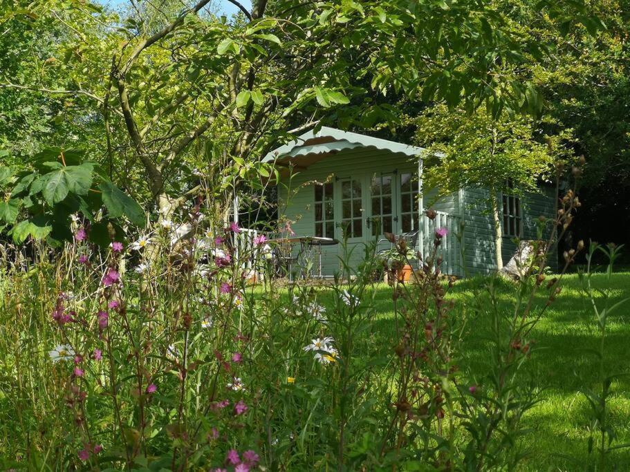Red Squirrel Holiday Home In The Countryside, 10 Mins To Lligwy Beach Llandyfrydog Exteriér fotografie