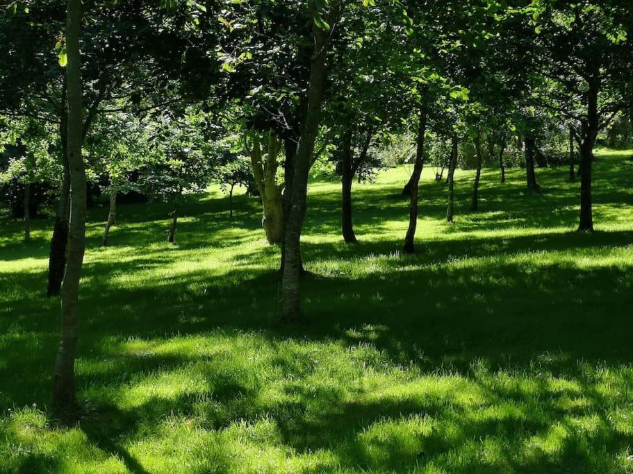 Red Squirrel Holiday Home In The Countryside, 10 Mins To Lligwy Beach Llandyfrydog Exteriér fotografie